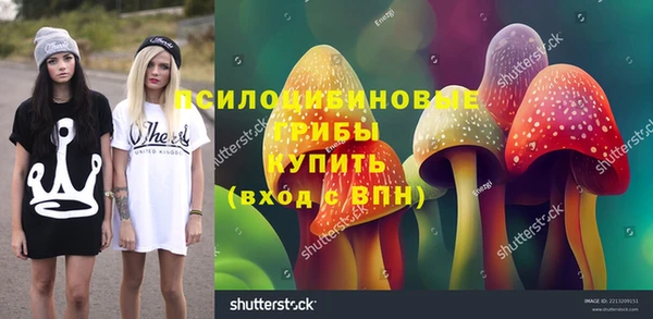 mix Арсеньев